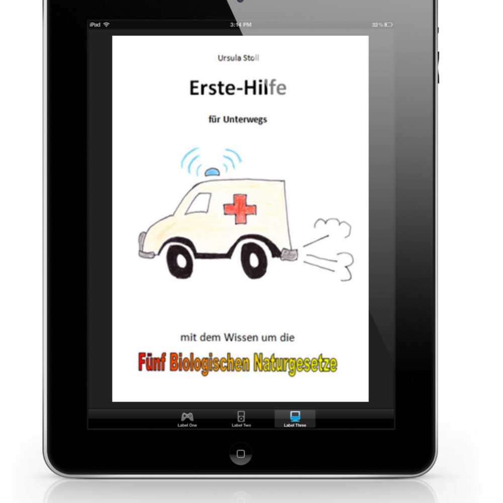 Erste Hilfe für unterwegs E-Book