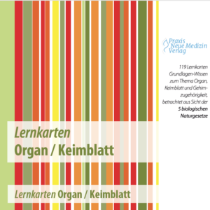 Lernkarten Organ / Keimblatt