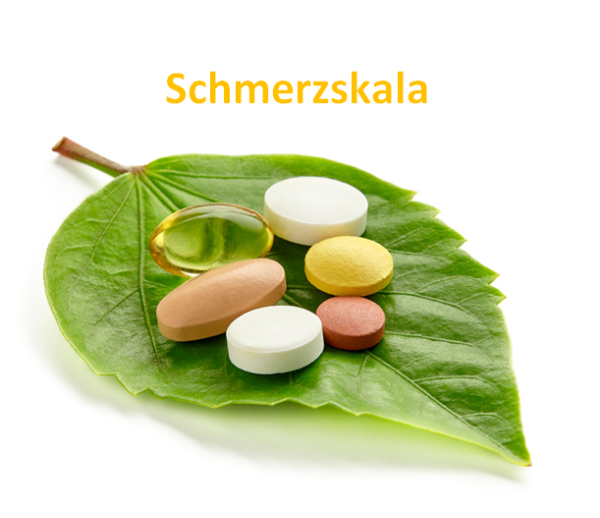 Schmerzskala