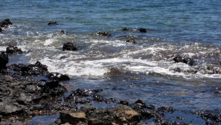 Wasser, die Grundlage des Lebens