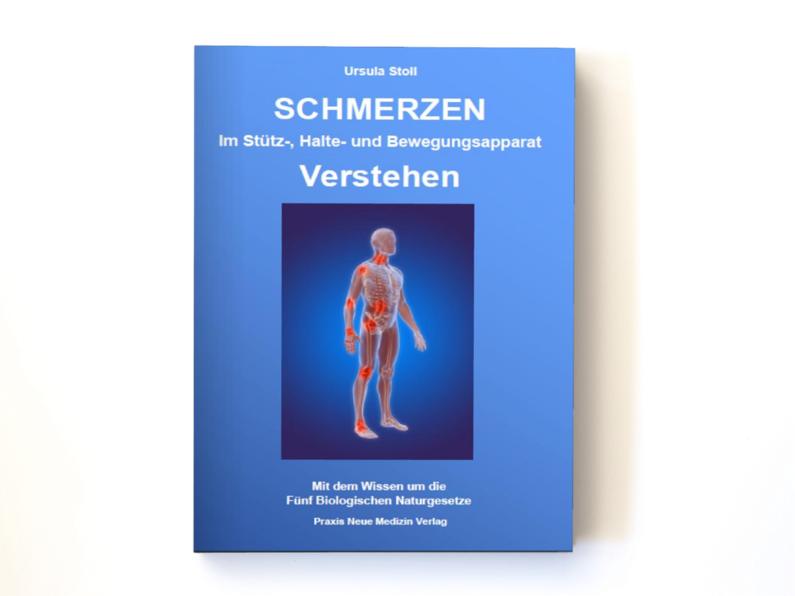„Schmerzen im Stütz-, Halte- und Bewegungsapparat verstehen“