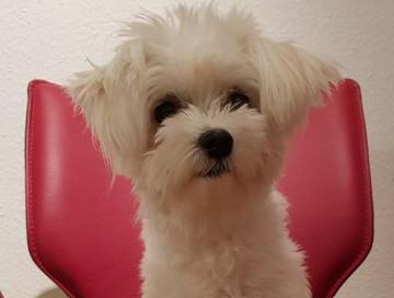 Screenshot 2026-02-08 094753